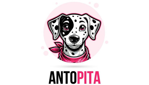 Antopita.com
